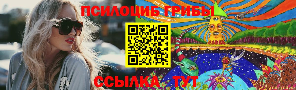 Псилоцибиновые грибы Cubensis Жуковский