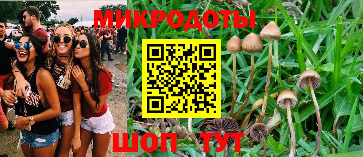 Жуковский  Галлюциногенные грибы мицелий  Вход с VPN 